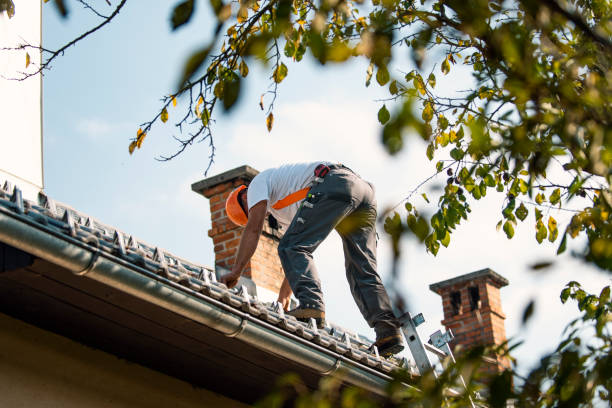 Best Tile Roofing Contractor  in Camp Wood, TX